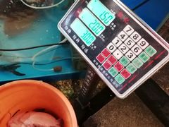 -粗粮人家·东北菜(洋桥店)