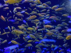 -成都浩海立方海洋公园