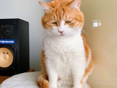 -明记海鲜美食老字号(明记总店)