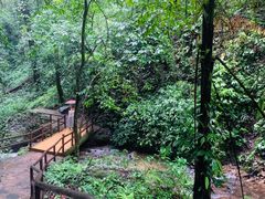 -莫里热带雨林景区