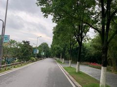 -武汉园博园(武汉自然博物馆)