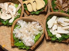 -滇野云南野生菌餐厅(陕西南路店)