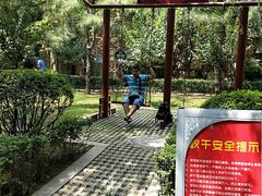 -西安曲江寒窑遗址公园