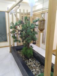 -芳朵美容养生SPA