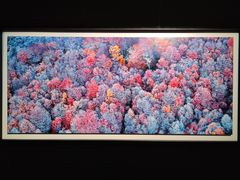 -罗红摄影艺术馆