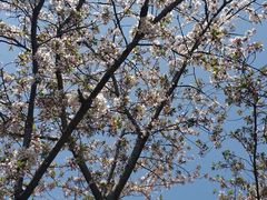 -金桥现代产业园区-停车场