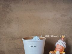 -BOBAC
