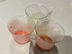 -野萃山·潮汕厚果汁(十亩地店)