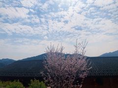 -南靖田螺坑土楼群景区
