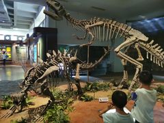 -自贡恐龙博物馆