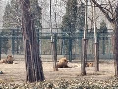 -秦皇岛野生动物园
