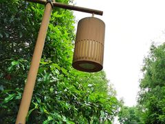 -梁鸿国家湿地公园