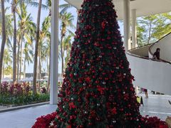 -半山半岛洲际度假酒店·观海廊