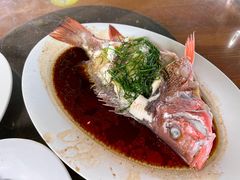 清蒸海鱼-福顺顺发海鲜餐厅