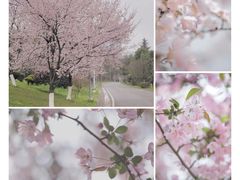 -贵阳市花溪国家城市湿地公园