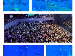-上海海昌海洋公园