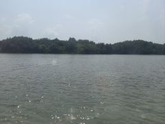 -鄱阳湖国家湿地公园