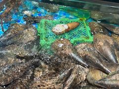 -蚝得喜海鲜(东城店)