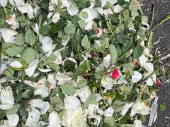 -循礼门鲜花花市(武汉循礼门店)