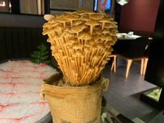 活体菌菇-麻路成都火锅(柏威年店)