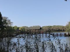 -苏州太湖国家湿地公园