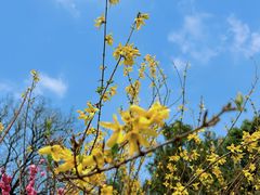 -北京西山国家森林公园