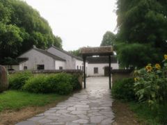 -同里国家湿地公园
