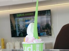 -Salud撒露欧洲冻酸奶(蓝色港湾店)