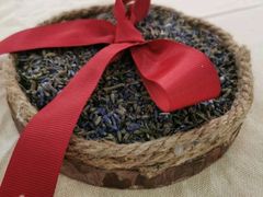 -杨梅红艺术教育(凤城教学中心)