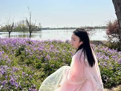 -杭州湾海上花田景区