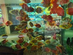 -寻味顺德·珍之宝酒楼(银钻店)