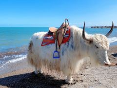 -青海湖国家重点风景名胜区
