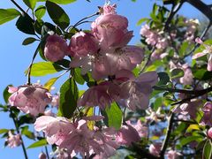 -狼山风景名胜区