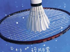 -V7动力羽毛球会馆