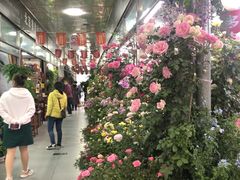 -王四营海鲜市场