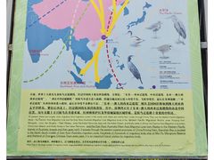 -华侨城湿地公园