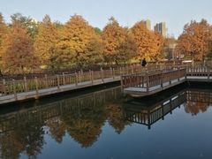 -五缘湾湿地公园