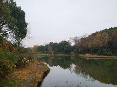 -新江湾城公园