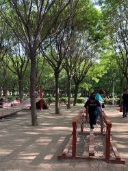 -优沃得自然教育农场·冰雪乐园·生日会·研学
