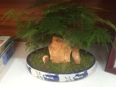 -康城口腔(磁器口店)