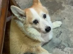 -茶米人台湾料理·精致快简餐