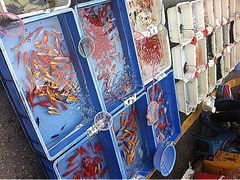 iphone_upload_pic-清平路水族市场