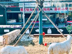 -阳坊胜利涮羊肉(阳坊老店)