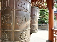 -上海东林寺(金山区)