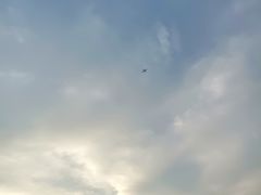 -深圳湾公园(南山区)