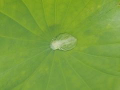 -滆湖低碳生态公园