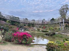 -东莞植物园