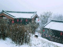 -少华山国家森林公园