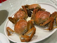 -大东海海鲜酒楼(渔人码头总店)