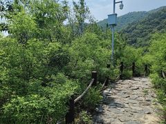 -阳台山自然风景区